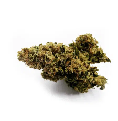 Monkush - Cannabis light online - pare vera