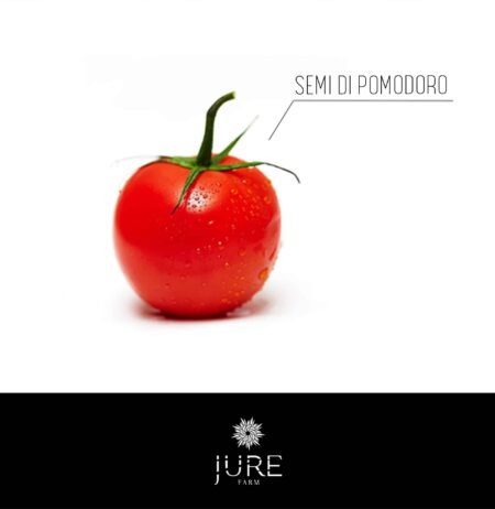 Semi di Pomodoro , piantare semi di pomodoro antichi e professionali in vaso ,quando piantarli