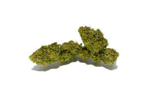 Cherry tonic top - pare vera - la migliore cannabis light online! 