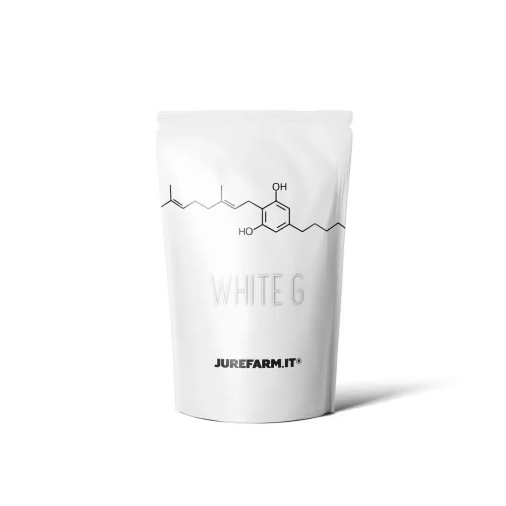 le 7 varietà con il cbd più alto - canapa light - White g pare vera - La migliore cannabis light online! - cannabis light, infiorescenze, olio CBD, tisane, cibo con semi di canapa, spedizione veloce, Italia, Jure Farm, prodotti, oli CBD, 20% CBD, 10% CBD, CBDA, brand video, prodotto di qualità, cosmetici, merchandising, offerte, fatta al sole, erba legale, migliore.