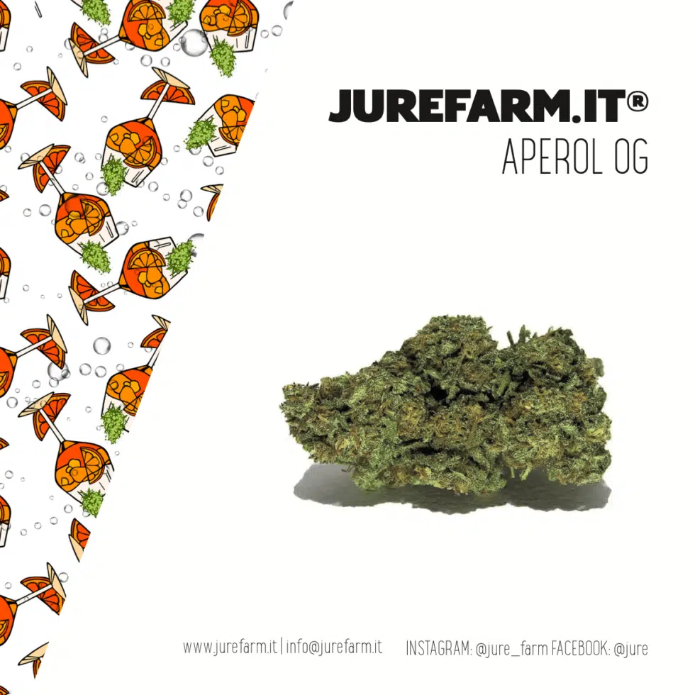 aperol og pare vera - La migliore cannabis light online! - cannabis light, infiorescenze, olio CBD, tisane, cibo con semi di canapa, spedizione veloce, Italia, Jure Farm, prodotti, oli CBD, 20% CBD, 10% CBD, CBDA, brand video, prodotto di qualità, cosmetici, merchandising, offerte, fatta al sole, erba legale, migliore.